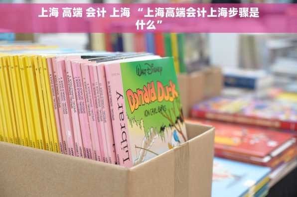 上海 高端 会计 上海 “上海高端会计上海步骤是什么”