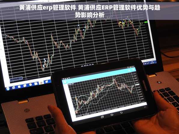 黄浦供应erp管理软件 黄浦供应ERP管理软件优势与趋势影响分析