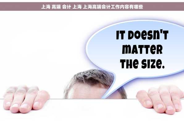 上海 高端 会计 上海 上海高端会计工作内容有哪些