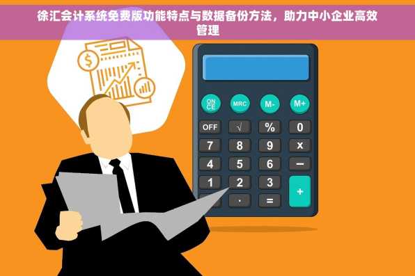 徐汇会计系统免费版功能特点与数据备份方法，助力中小企业高效管理