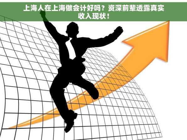 上海人在上海做会计好吗？资深前辈透露真实收入现状！