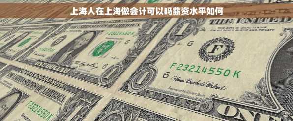 上海人在上海做会计可以吗薪资水平如何