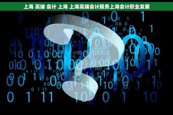 上海 高端 会计 上海 上海高端会计服务上海会计职业发展