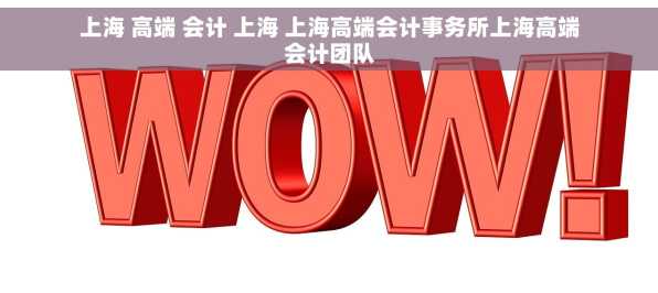 上海 高端 会计 上海 上海高端会计事务所上海高端会计团队