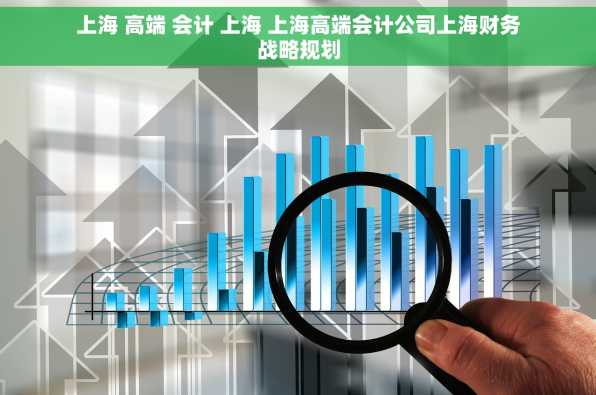 上海 高端 会计 上海 上海高端会计公司上海财务战略规划