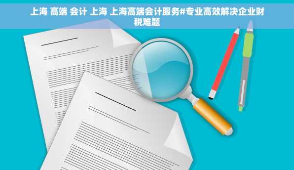 上海 高端 会计 上海 上海高端会计服务#专业高效解决企业财税难题