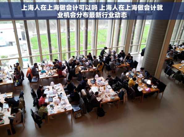 上海人在上海做会计可以吗 上海人在上海做会计就业机会分布最新行业动态