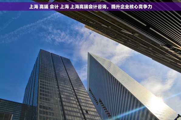 上海 高端 会计 上海 上海高端会计咨询，提升企业核心竞争力