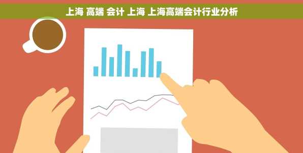 上海 高端 会计 上海 上海高端会计行业分析