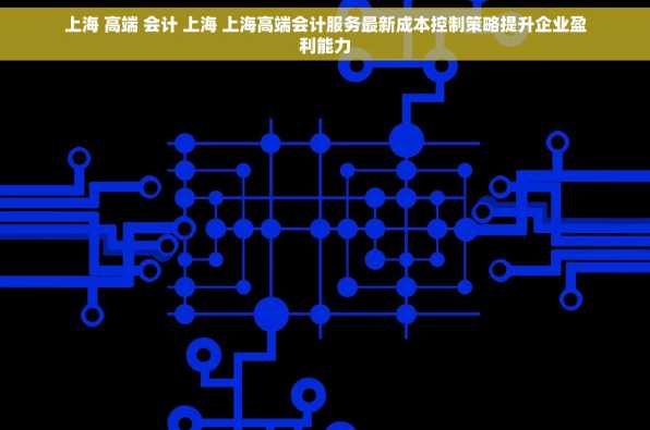 上海 高端 会计 上海 上海高端会计服务最新成本控制策略提升企业盈利能力